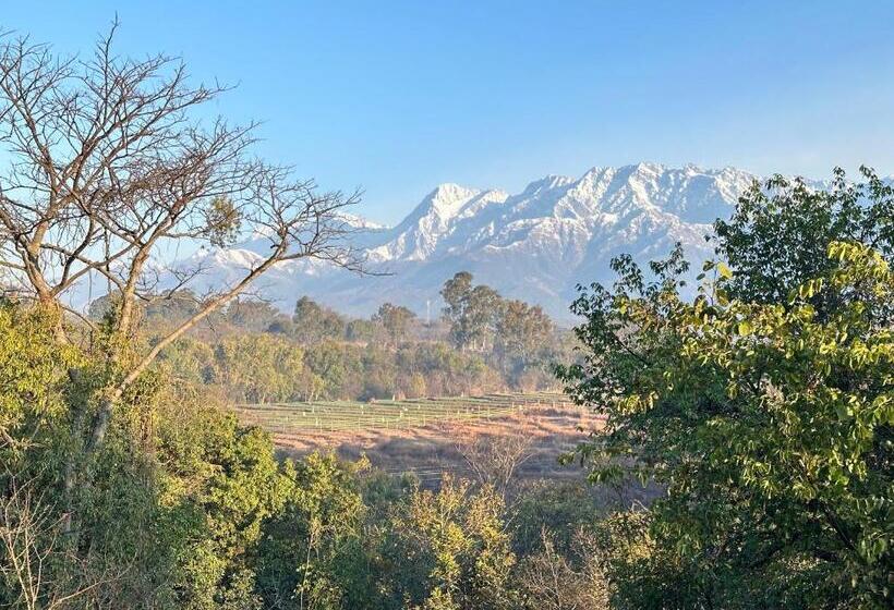 Bed and Breakfast Terra Cottage