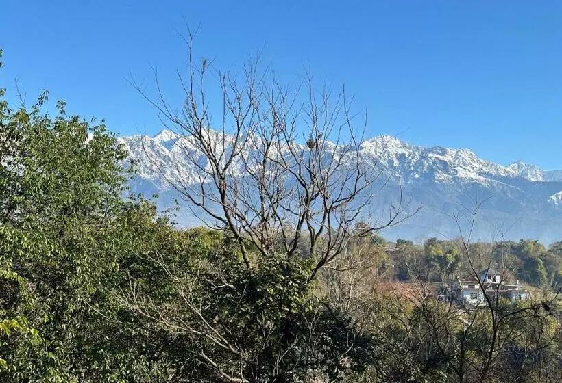 Aamiaismajoitus (B&B) Terra Cottage