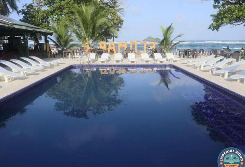 Szálloda Imperial Wood