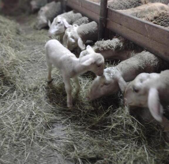 ホテル Jochelerhof