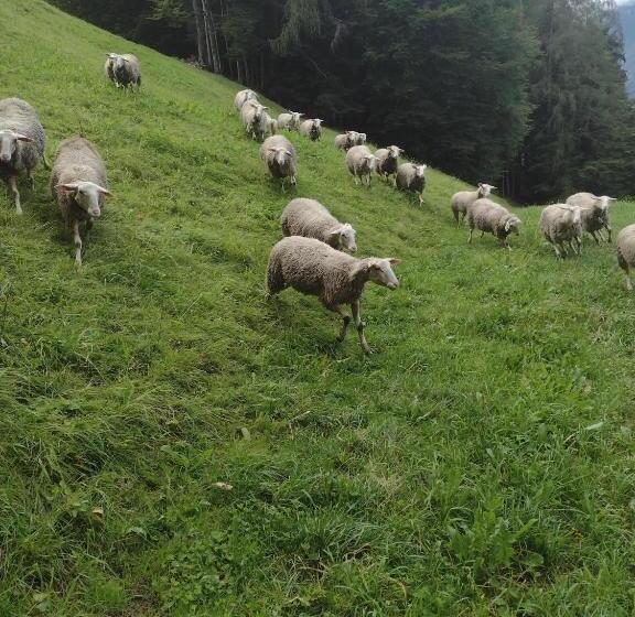 ホテル Jochelerhof