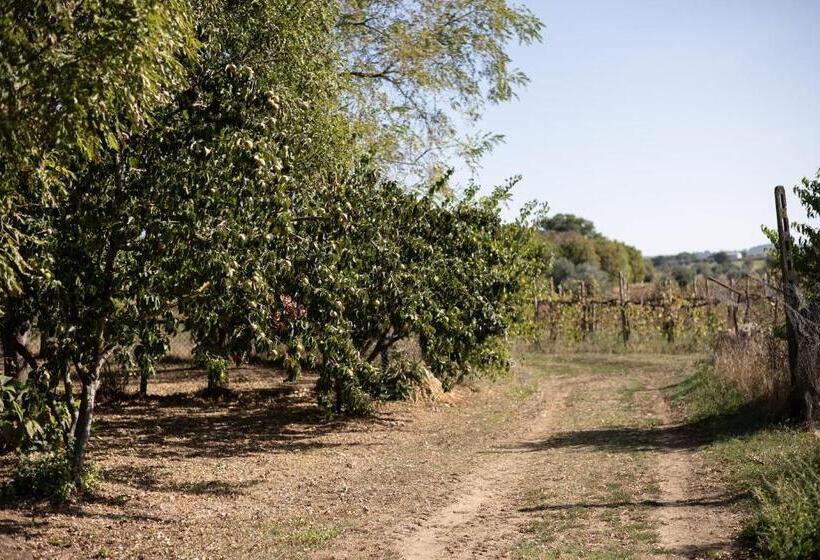 בית מלון כפרי Volpe