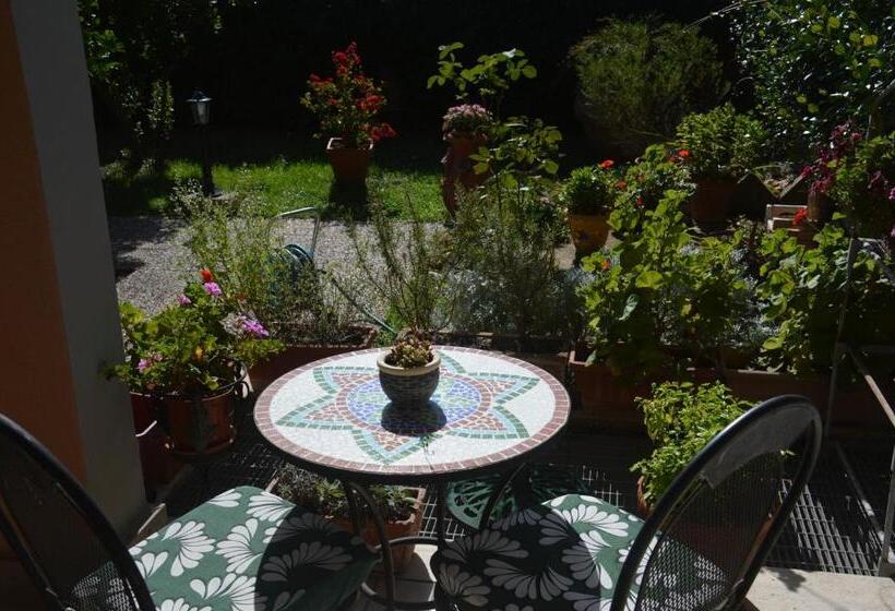 Pensjonat L Oasi Delle Vigne