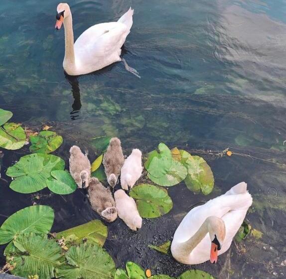 민박 Logis La Maison à Pan De Bois Chambre Napoléon Iii