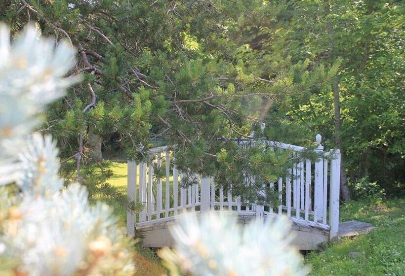 Historic Seaton Springs Farm B&b J Seaton King Room & Private Bath