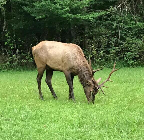 Historic Seaton Springs Farm B&b J Seaton King Room & Private Bath