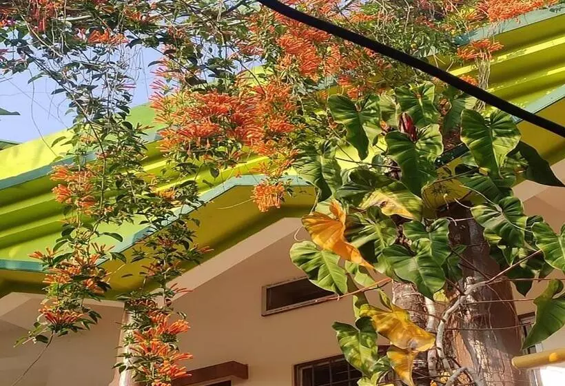 ホテル Jaldapara Wild Huts By Stayapart