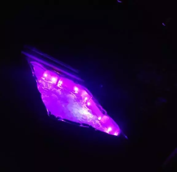 Hotelli Love Room Danslesbois Avec Spa