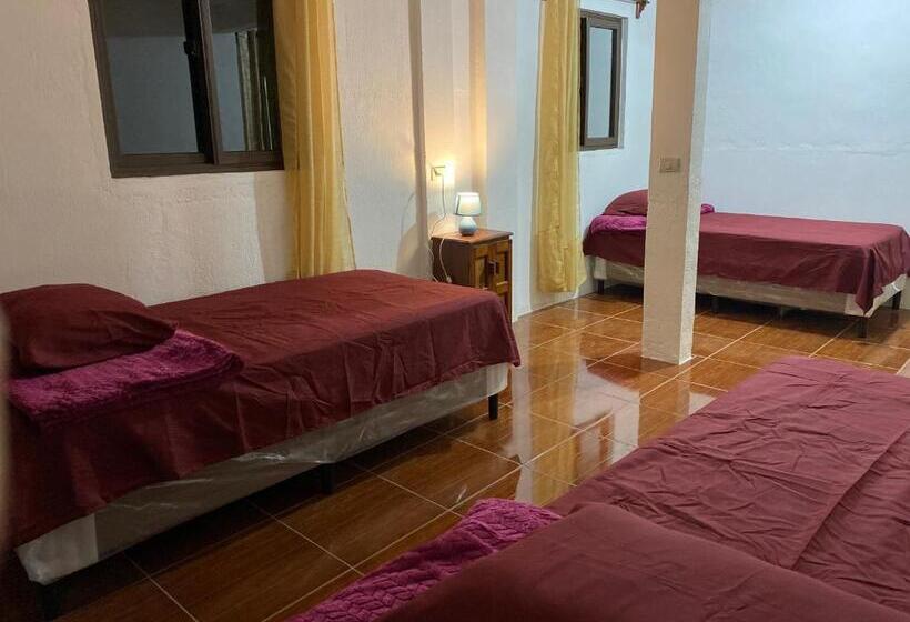 پانسیون Hostal Tika´aaj