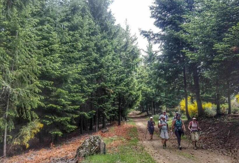 ホテル Casa De Santa Ana Da Beira