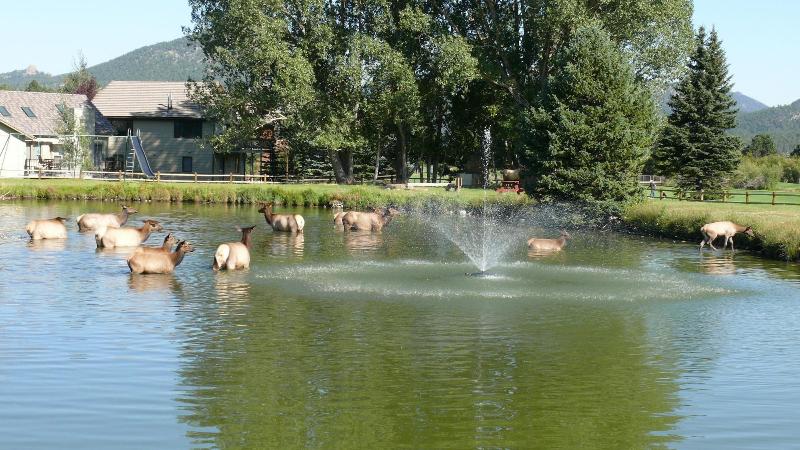 فندق Discovery Lodge