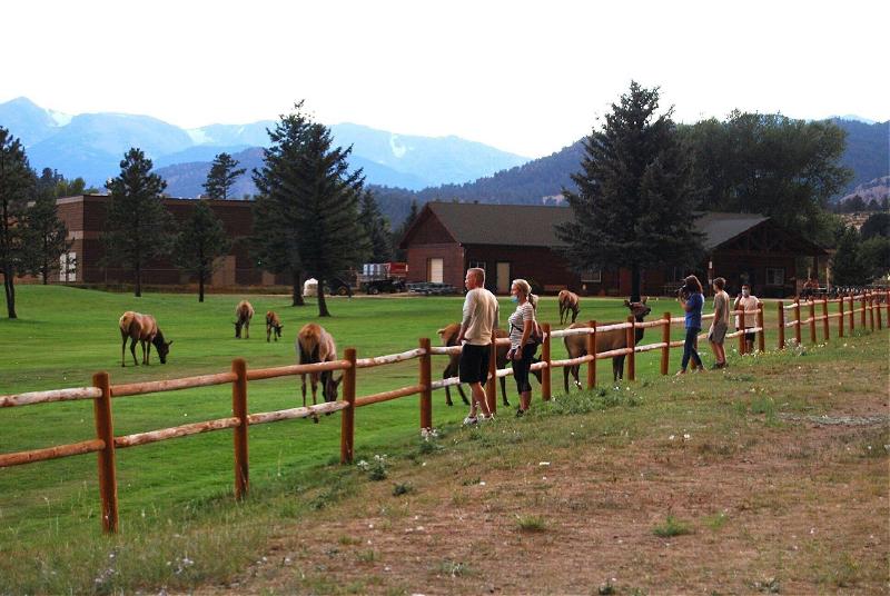 فندق Discovery Lodge