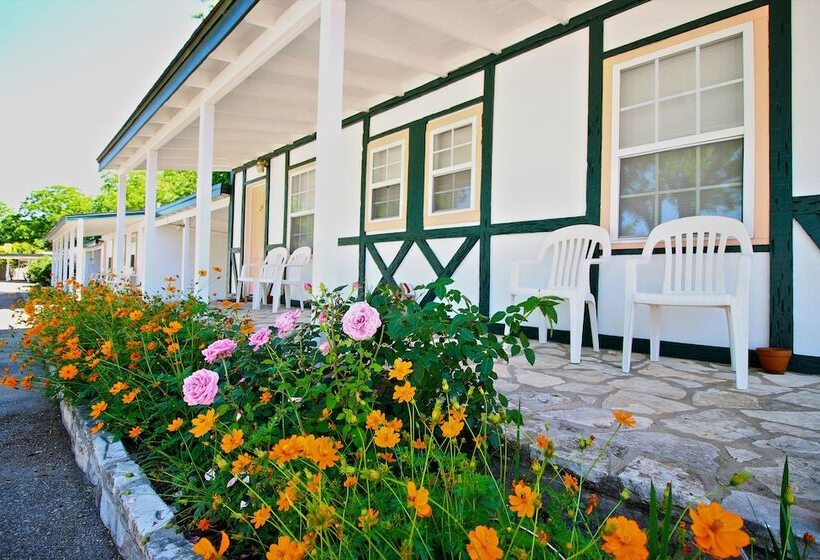 酒店 Peach Tree Inn & Suites