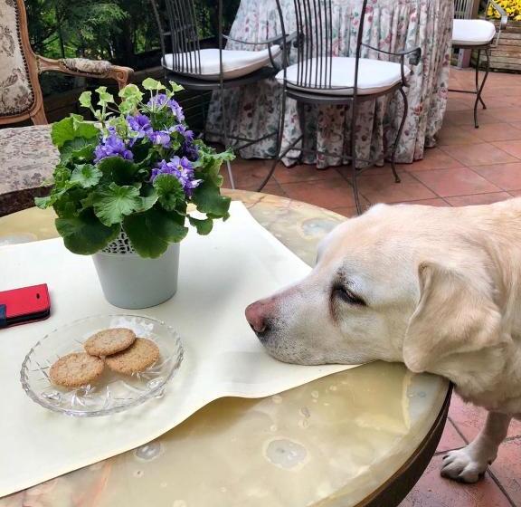 ホテル Pensjonat Pod Lipami