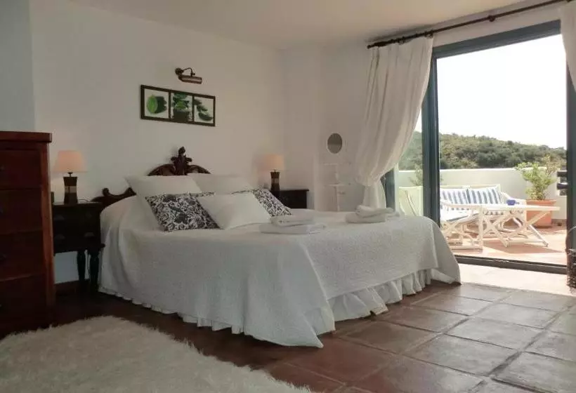 Hotel B&b Muse Marbella