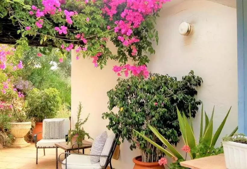 Hotel B&b Muse Marbella