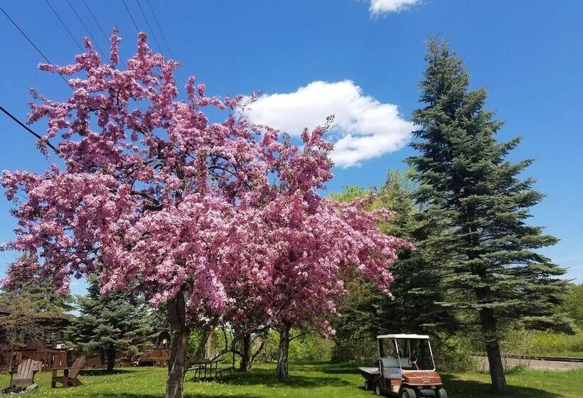 فندق Willard Munger Inn