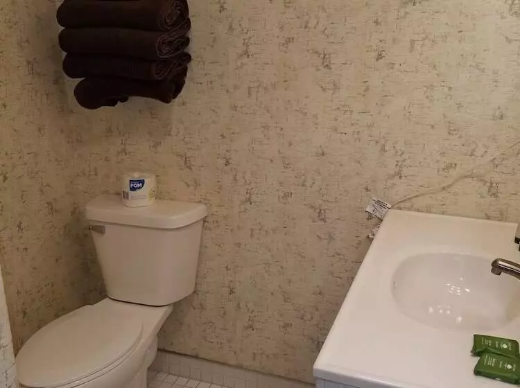 ホテル Willard Munger Inn