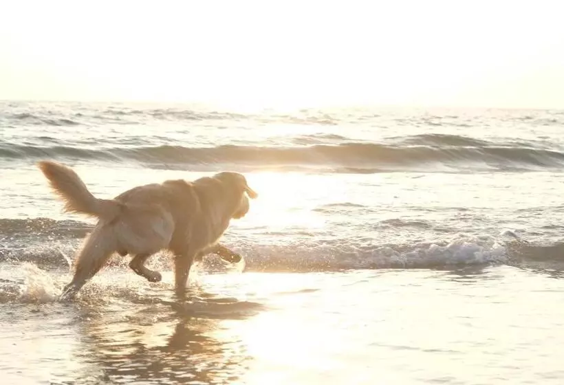 Retkeilymaja Cliff & Coral