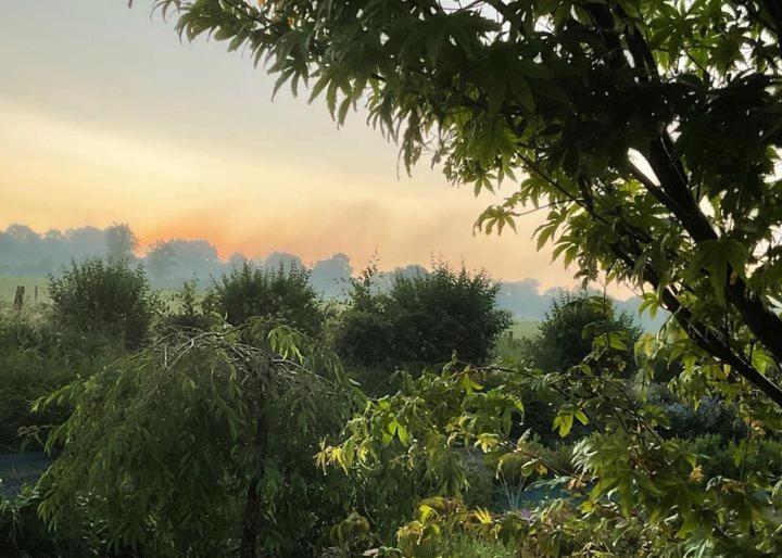 민박 Les Herbes Flottantes