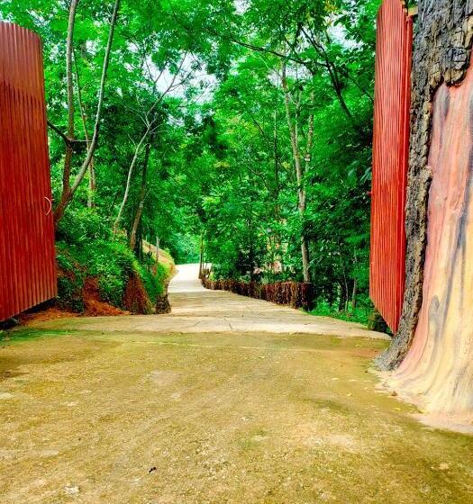 تختخواب و صبحانه Rapids Eco Retreat