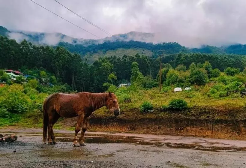 Paradise Resort Vattavada, Munnar