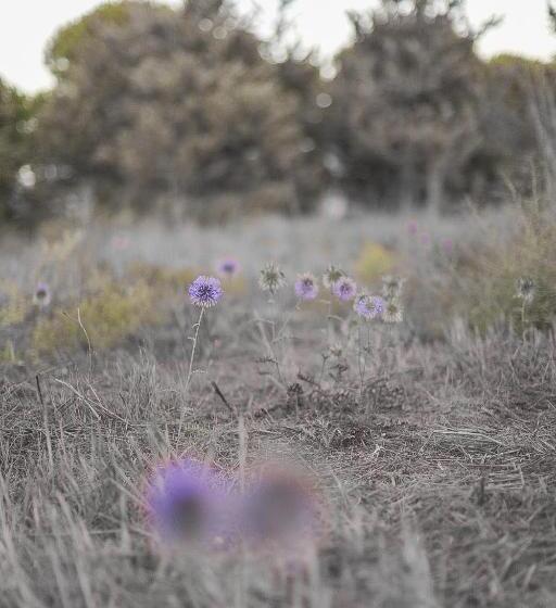 ペンション גל בהר