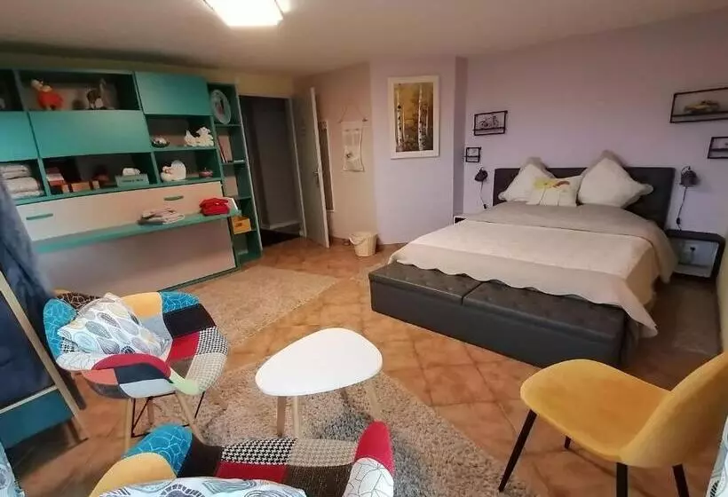 ペンション Chambre Paisible Avec Petit Déjeuner Maison, Proche Centre Ville Et Randonnées Vosgiennes   Fr 1 589