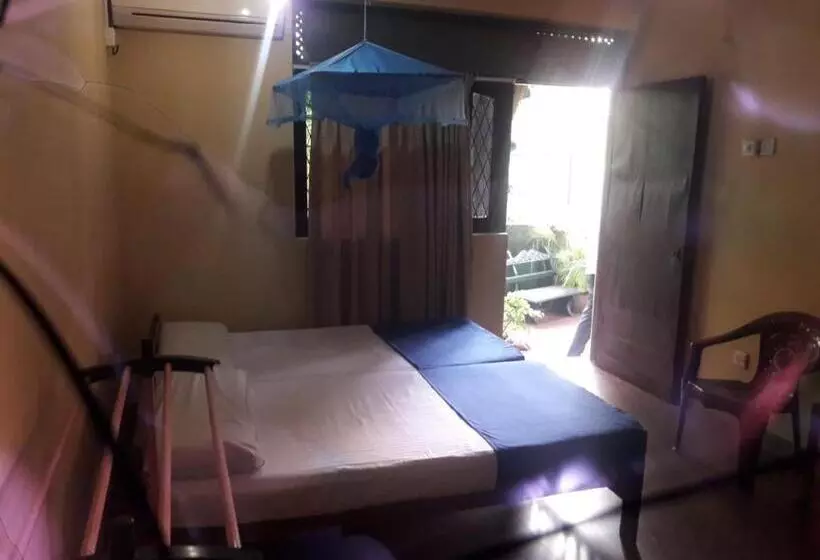ペンション Lion Guest Anuradhapura