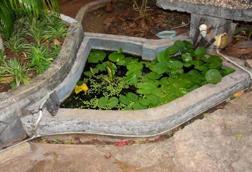 Pension Lion Guest Anuradhapura