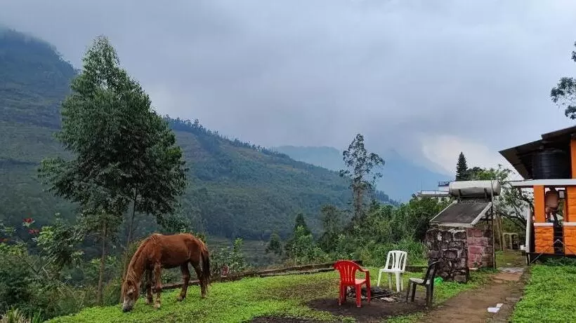 リゾートホテル Paradise Cottage Vattavada, Munnar