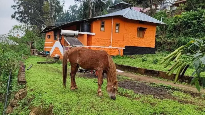 リゾートホテル Paradise Cottage Vattavada, Munnar