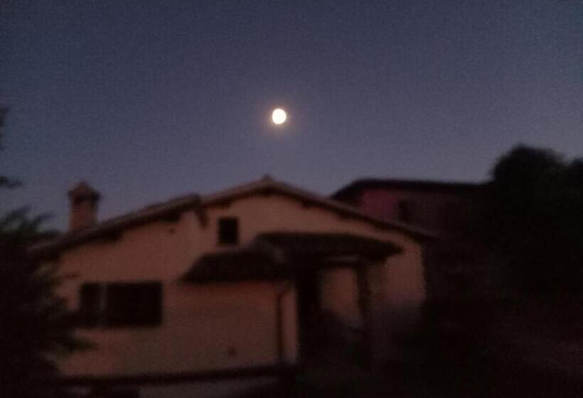 住宿加早餐  Villa Claudi Camerino