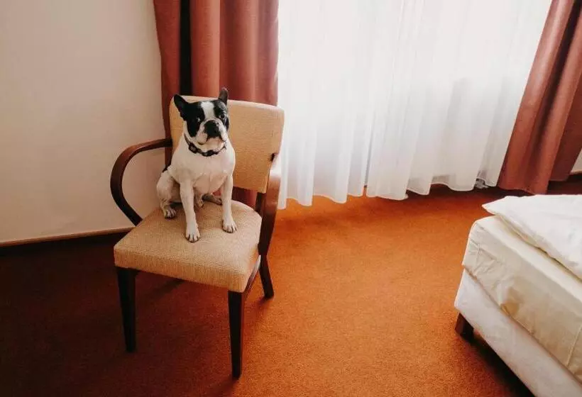 Golf Hotel Austerlitz