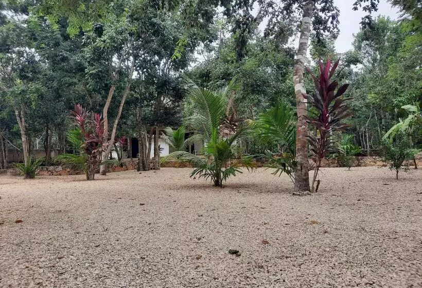 ホテル Cabañas Maalokin