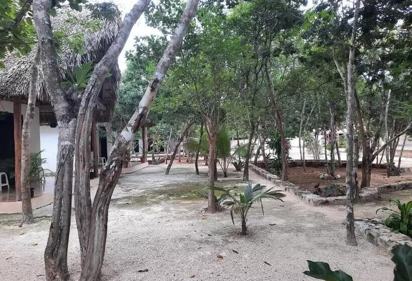 ホテル Cabañas Maalokin