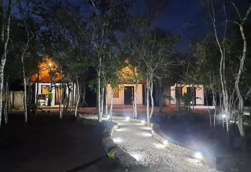 ホテル Cabañas Maalokin