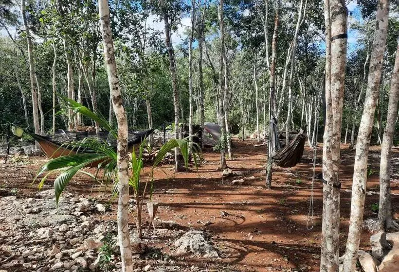 ホテル Cabañas Maalokin