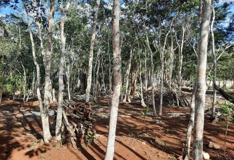 فندق Cabañas Maalokin