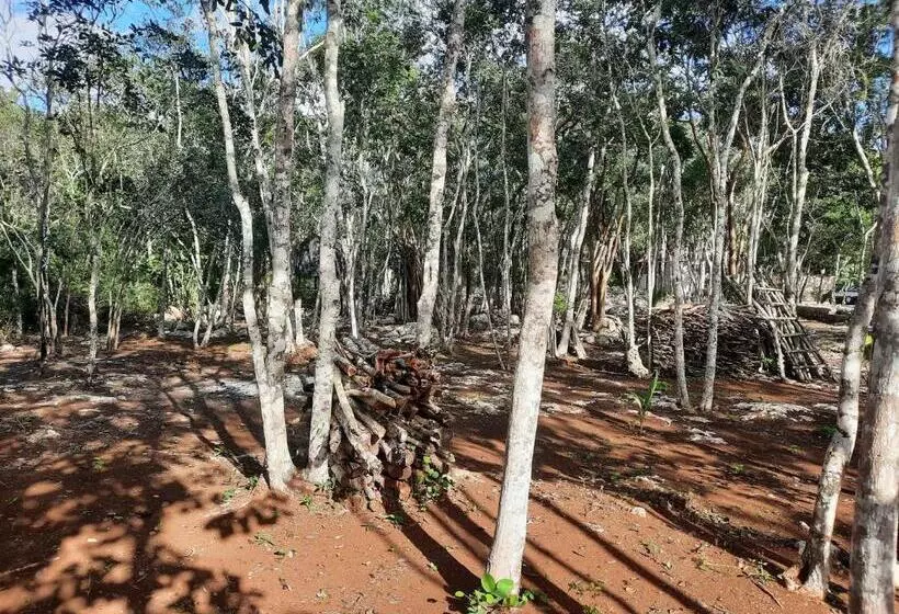 ホテル Cabañas Maalokin