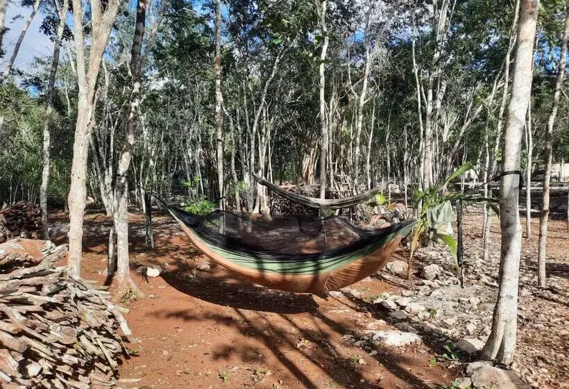 ホテル Cabañas Maalokin