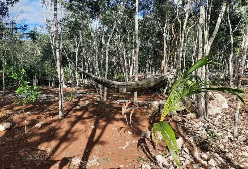 ホテル Cabañas Maalokin