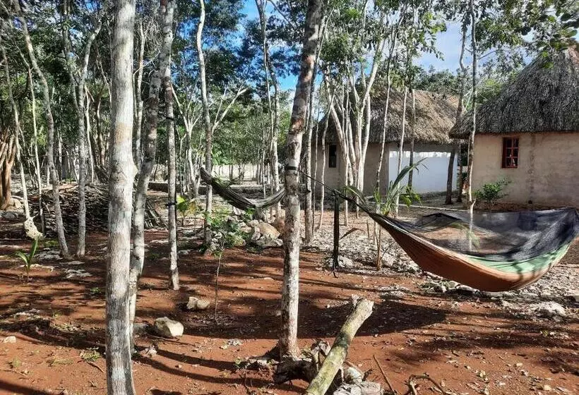 ホテル Cabañas Maalokin