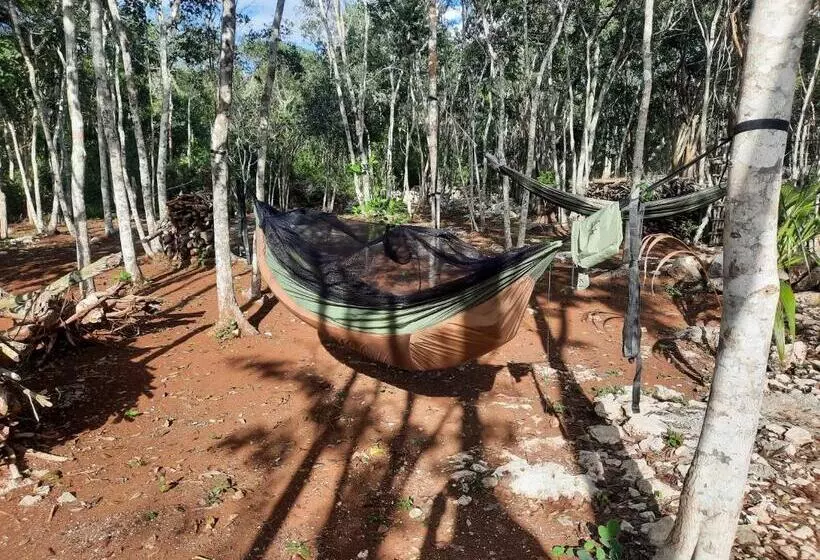 ホテル Cabañas Maalokin