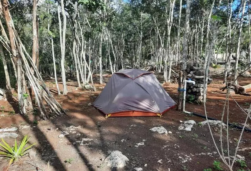 ホテル Cabañas Maalokin