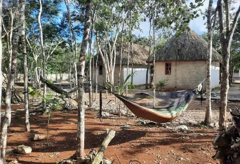 ホテル Cabañas Maalokin