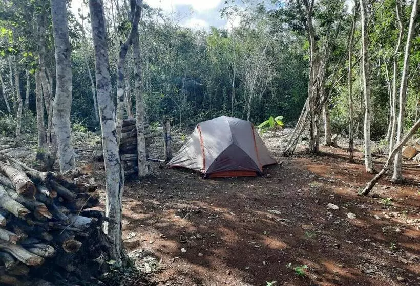 ホテル Cabañas Maalokin