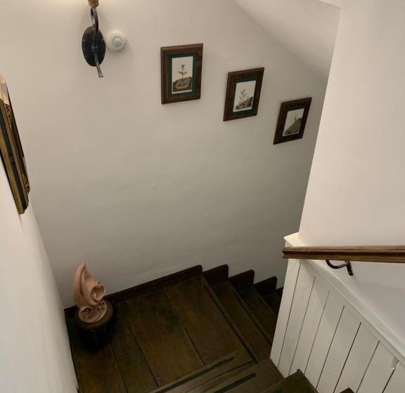 هتل El Jardín Del Laurel