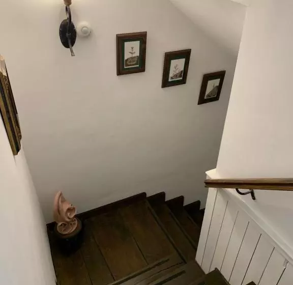 ホテル El Jardín Del Laurel