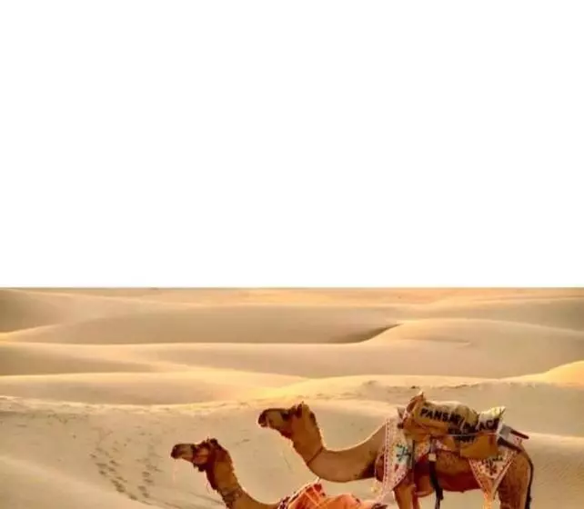 ホテル Griat Sandy Desert Camp Jaisalmer